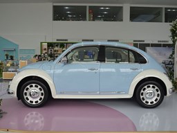 歐拉芭蕾貓 外觀圖片