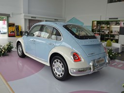 歐拉芭蕾貓 外觀圖片