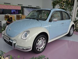 歐拉芭蕾貓 外觀圖片