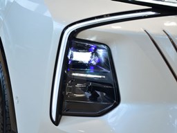 榮威鯨細(xì)節(jié)圖片