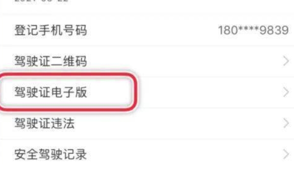 電子駕駛證在哪里查看 電子駕駛證在手機交管12123APP查看
