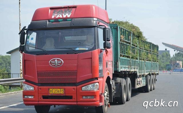 黃牌車是什么意思