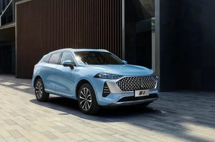 車標(biāo)是wey是什么車