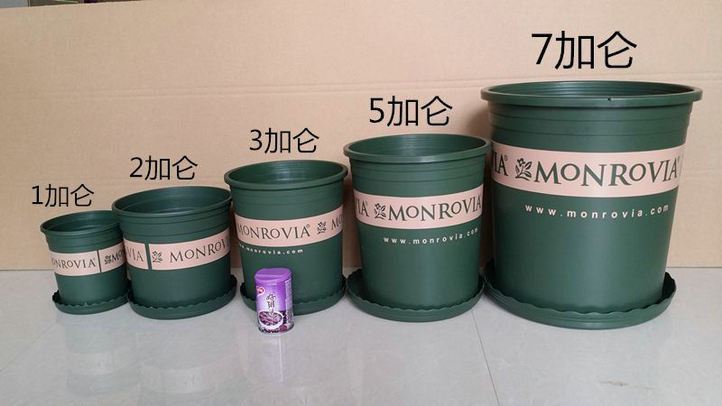 1加侖等于多少升