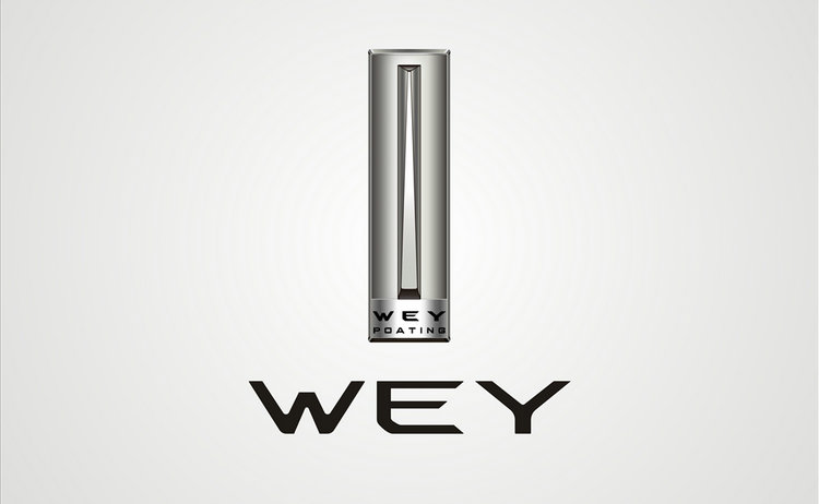 一豎標志的是什么車