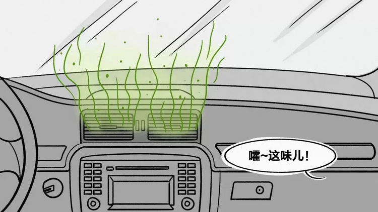 汽車進(jìn)水有霉味多久才能去掉 車內(nèi)霉味去除方法