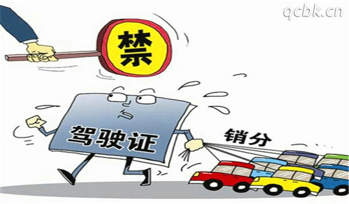 車輛違章12分沒(méi)處理可以審車