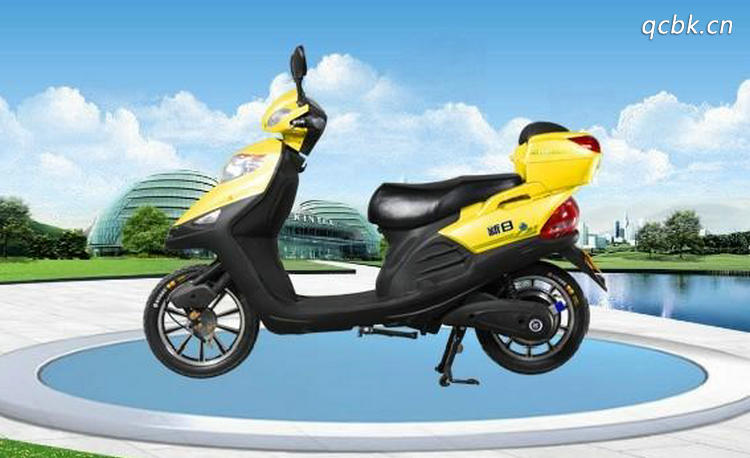 什么牌子的電動(dòng)車(chē)好