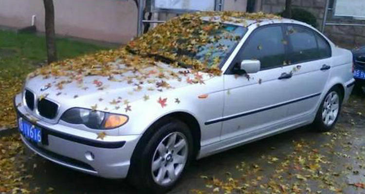 汽車放久了不開會(huì)怎樣