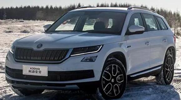 你認(rèn)為探岳和柯迪亞克哪個(gè)好，誰更物美價(jià)廉（性價(jià)比高）