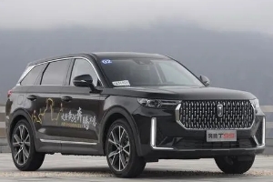 奔騰t99油耗多少真實(shí)油耗，2.0T發(fā)動(dòng)機(jī)實(shí)測(cè)油耗最低10L