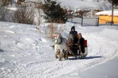 買車如何選擇前驅(qū)、后驅(qū)、四驅(qū)，想不到差別這么大！