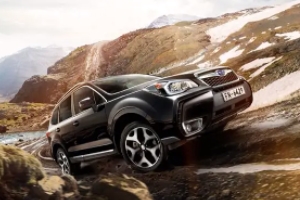 斯巴魯森林人怎么樣 油耗低、視野好、空間大、配置高（百公里7.8L）