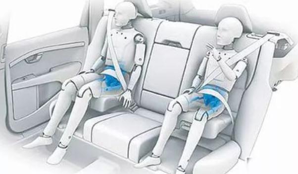 安全帶，生命帶（必須系好安全帶）