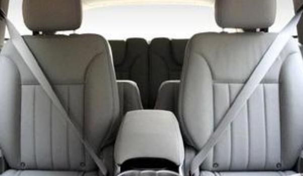 安全帶，生命帶（必須系好安全帶）