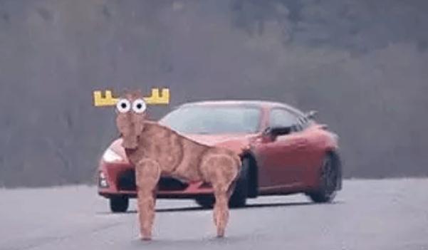 麋鹿測(cè)試，國際衡量汽車安全的重要標(biāo)準(zhǔn)（安全駕駛很重要）