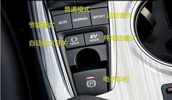 sport是什么意思，運動版車型（也指運動模式）