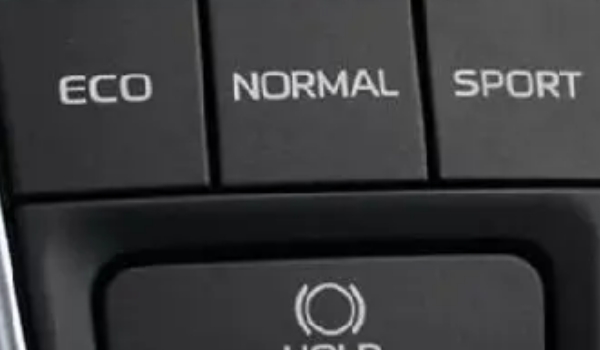 sport是什么意思，運動版車型（也指運動模式）