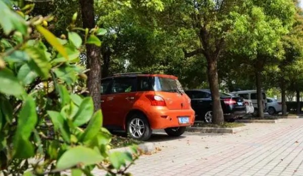 車(chē)停在樹(shù)下好不好 不好(損壞車(chē)漆堵塞管道)