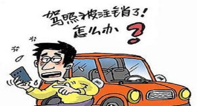 實習(xí)期上高速怎么處罰，安全無保障一切都為零