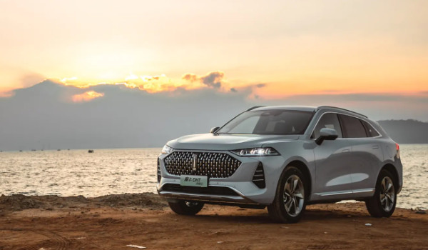 一個(gè)豎長(zhǎng)條的車(chē)標(biāo)suv 魏派汽車(chē)品牌(中國(guó)豪華suv品牌)