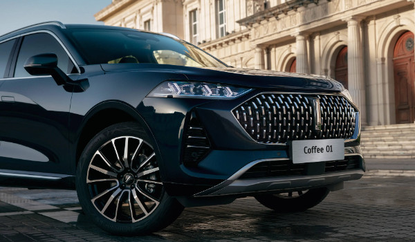 一個(gè)豎長(zhǎng)條的車(chē)標(biāo)suv 魏派汽車(chē)品牌(中國(guó)豪華suv品牌)