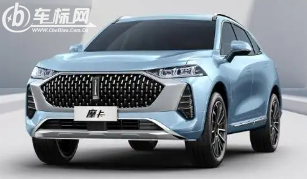 一個(gè)豎長(zhǎng)條的車(chē)標(biāo)suv 魏派汽車(chē)品牌(中國(guó)豪華suv品牌)