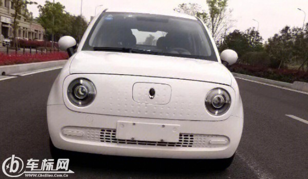 歐拉黑貓價(jià)格是多少錢 歐拉黑貓售價(jià)8萬(wàn)(落地僅9萬(wàn))