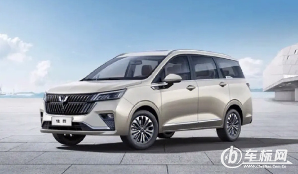 五萬以下的七座商務(wù)車 五菱佳辰、菱智、瑞風(fēng)M3值得購買