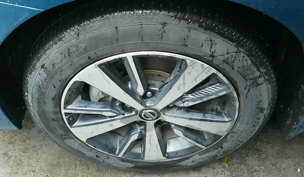 藍(lán)鳥(niǎo)輪胎多大尺寸 輪胎尺寸為205/50 r17