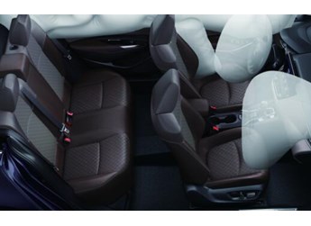 數(shù)九寒天如何安穩(wěn)過(guò)冬？全能亞洲獅送您“四不怕”