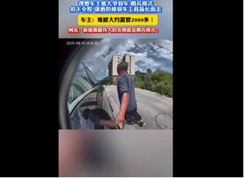 理想汽車停路邊慘遭劃車 陌生大爺瀟灑離開：哨兵模式記錄全過程 封面圖