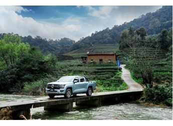 平箱銷量第一 10萬元級皮卡就選金剛炮！