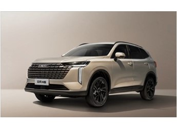 博主1元抽中新一代哈弗H6 3年使用權 網友：租賃價值超12萬了