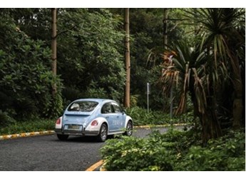 千萬(wàn)別讓你老婆看到芭蕾貓！我先試駕了 封面圖